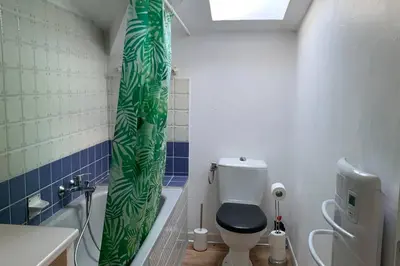 a bathroom with a toilet and a green shower curtain at Duplex à Monteux centre, 5 couchages distincts, LOCAL VELOS in Monteux