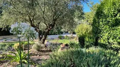 a dog sitting in the middle of a garden at Mas Saint-Genies in Venasque