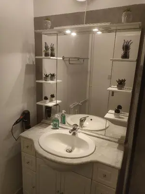a bathroom with a sink and a mirror at Grand appartement de charme calme et lumineux parking compris in Aix-en-Provence