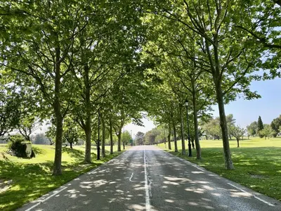 an empty road with trees on either side at Maison Calme 6 Pers. au Golf Pont Royal - Piscine, Terrasse, Parking, Clim, Fibre - 13370 Mallemort - FR-1-658-24 in Mallemort