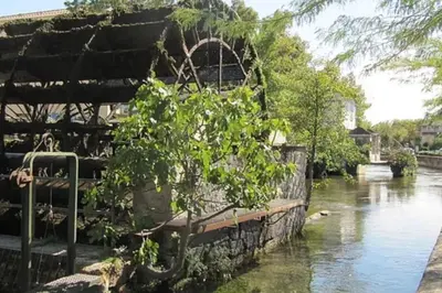 a tree next to a body of water at Joli appartement au cœur de la ville in LʼIsle-sur-la-Sorgue