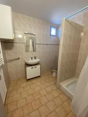 a bathroom with a sink and a shower and a toilet at Gîte Lou Gardian in Aureille