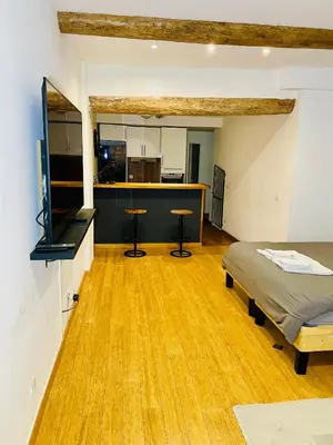 a large room with a bed and a kitchen at Aix-en-Provence, studio atypique quartier hyper centre in Aix-en-Provence