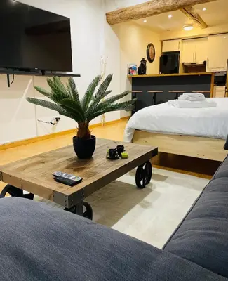 a living room with a couch and a table with a plant at Aix-en-Provence, studio atypique quartier hyper centre in Aix-en-Provence