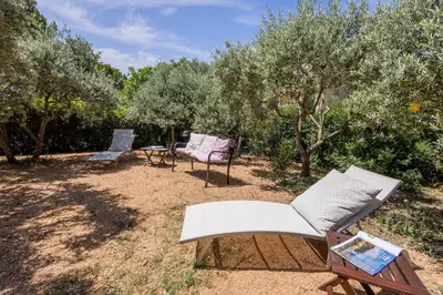 two chairs and a table in a yard with trees at L'Oliveraie in Saint-Saturnin-les-Apt
