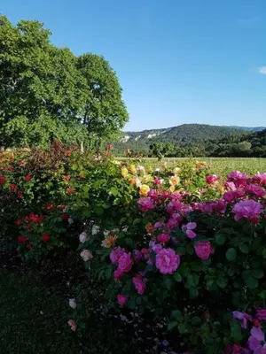 a garden filled with colorful flowers in a field at Luberon - Mas du Grand Saint Julien in Rustrel
