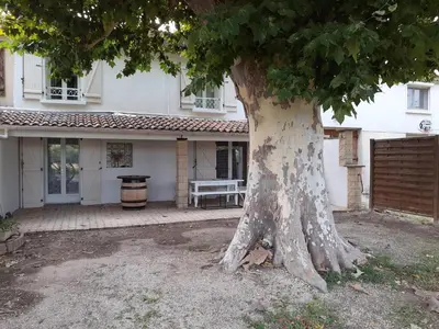 a large tree in front of a house at Mas provençal in Sénas