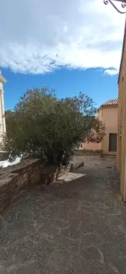 a tree sitting in the middle of a courtyard at Le logis du Ventoux in Bédoin