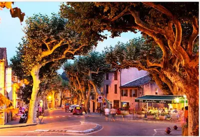 a painting of a city street with a large tree at Le logis du Ventoux in Bédoin