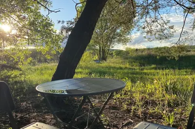 a picnic table next to a tree in a field at Gite Nature & Bien-Être avec piscine in Lincel