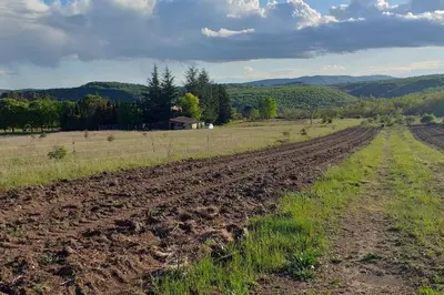a field with a dirt road in the middle at Gite Nature & Bien-Être avec piscine in Lincel