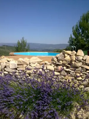 a stone wall next to a swimming pool with purple flowers at Soleil bleu in Rognes