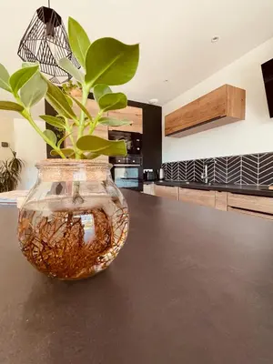 a glass vase with a plant in it on a table at Gite La Madeleine du Luberon. in Lioux