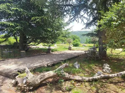 a tree branch laying on the ground next to a bench at Coin de paradis en Provence in Sault-de-Vaucluse