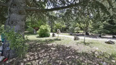 a park with a tree and rocks in the grass at Coin de paradis en Provence in Sault-de-Vaucluse