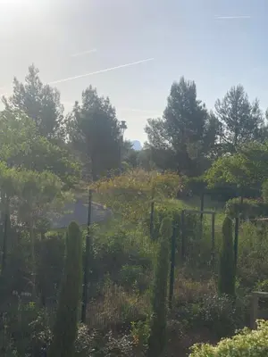 a garden with a fence and trees in the background at Appartement Aix en Provence vue Ste Victoire - BATIMENT B11 - 13090 AIX EN PROVENCE in Aix-en-Provence