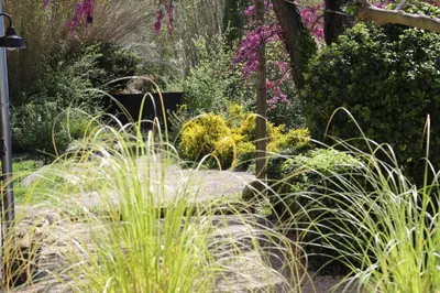 a garden with tall grass and flowers at La Bastide au coeur de la Provence in Pertuis