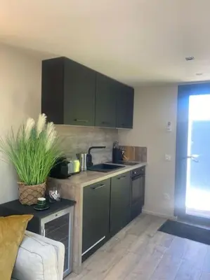 a kitchen with gray cabinets and a potted plant at A lombre du magnolia in LʼIsle-sur-la-Sorgue