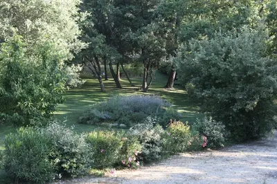 a garden with many bushes and trees and grass at Maison calme et verdure in Saint-Cannat