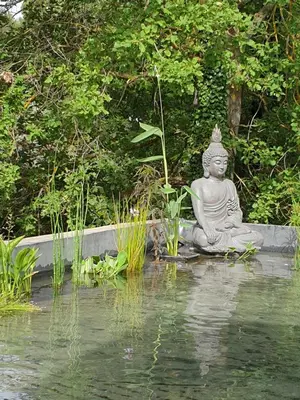 a statue sitting in the water next to a pond at Maison calme et verdure in Saint-Cannat