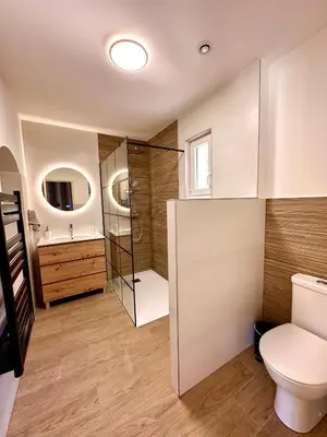 a bathroom with a toilet and a shower and a sink at Maison de charme avec Jacuzzi in Mollégès