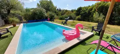 a pink plastic swan in a swimming pool at MyLuberon-Appartement au pied du Luberon in Lauris