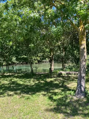 a park with trees and a body of water at Petit cocon avec terrasse in LʼIsle-sur-la-Sorgue