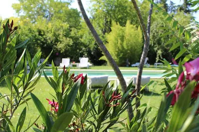 a view of a park with chairs and flowers at L'Islo Bamboo in Saumane-de-Vaucluse
