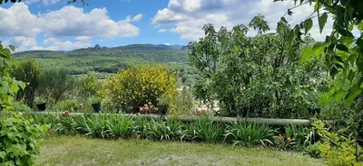 a garden with flowers and a view of a mountain at T.Belle Vue Panoramique au coeur du Luberon 40m2 + pergola . jardin. P in Apt