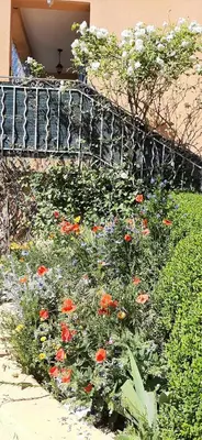 a garden with flowers in front of a fence at T.Belle Vue Panoramique au coeur du Luberon 40m2 + pergola . jardin. P in Apt