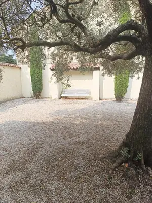 a bench sitting under a tree next to a building at A l'ombre de l'olivier in Orgon