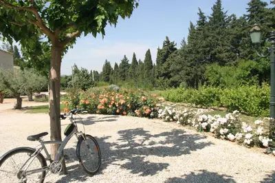 a bike parked next to a tree next to a garden at Mirabelle en Provence in Eygalières