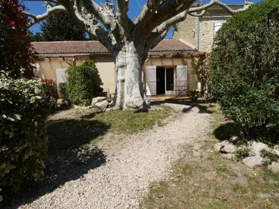 a tree in the yard of a house at Mas Seraphin in LʼIsle-sur-la-Sorgue