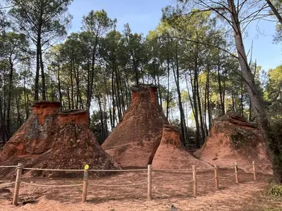 a group of large piles of dirt in a forest at LE CHARME DU VENTOUX in Crillon-le-Brave