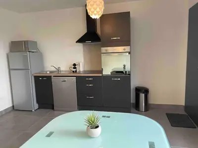 a kitchen with a refrigerator and a table with a potted plant at Logement Le Puy Sainte Réparade in Le Puy-Sainte-Réparade