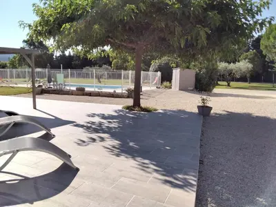 a patio with a tree and a swimming pool at MAS LAURIE in Cheval-Blanc