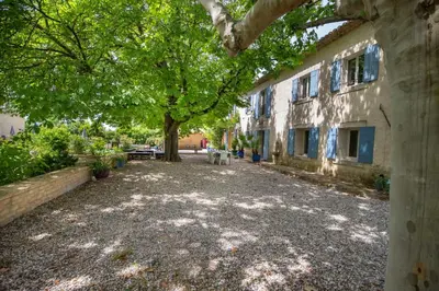 an empty courtyard in front of a building with a tree at Mas provençal 14 personnes - parking privé in Le Thor