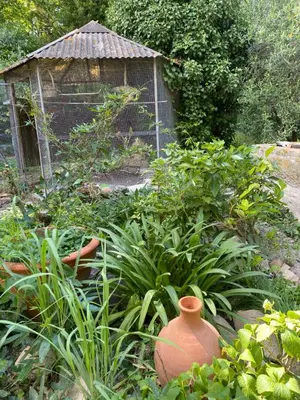 a bird cage in a garden with plants at Cécile - Mas de Rousseau in Eyragues