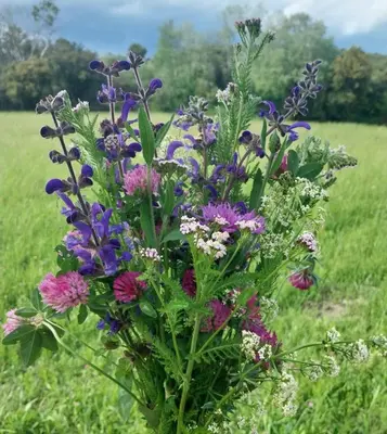a bouquet of flowers in the middle of a field at Cécile - Mas de Rousseau in Eyragues