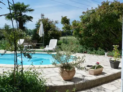 a patio with a pool and some plants at Lumière de Provence in Mollégès