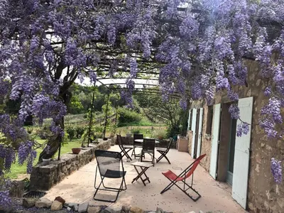 a patio with chairs and a tree with purple flowers at Les Vendangeurs, gîte au milieu des vignes face au Luberon in Goult