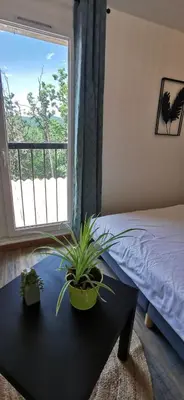 a bedroom with a bed and a table with plants on it at La Petite Reine Du Ventoux in Sault-de-Vaucluse
