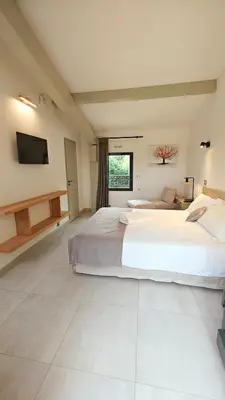 a large bedroom with two beds and a flat screen tv at Mas Sourso in Eygalières