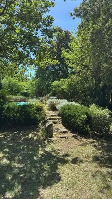 a path in a park with trees and bushes at La Bastide des Chênes Lacoste in Lacoste