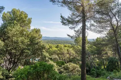 a view of a forest with trees and mountains in the background at Le Chant des Pins Lodge & Spa Tour de Keyrié in La Mignarde