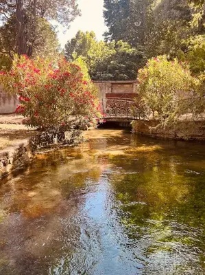 a bridge over a river in a park at Appartement fontaine de Vaucluse in Fontaine-de-Vaucluse