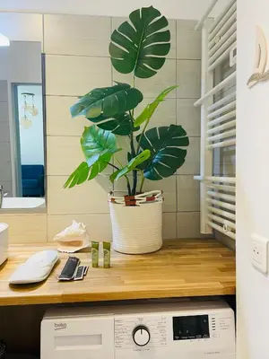 a plant in a pot sitting on top of a counter at L’Écrin in Aix-en-Provence
