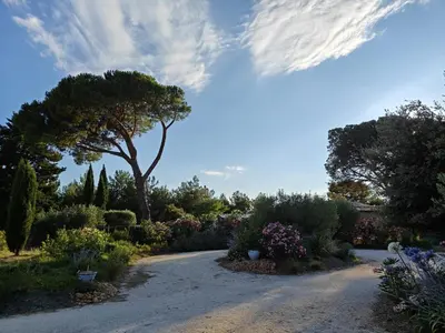 a garden with a gravel road with flowers and trees at mas clair de lune in Saint-Rémy-de-Provence