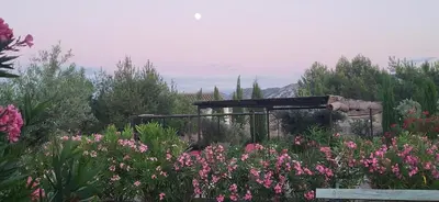 a garden with pink flowers and a wooden structure at mas clair de lune in Saint-Rémy-de-Provence