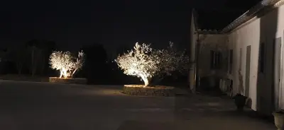 two trees with lights in a courtyard at night at mas clair de lune in Saint-Rémy-de-Provence
